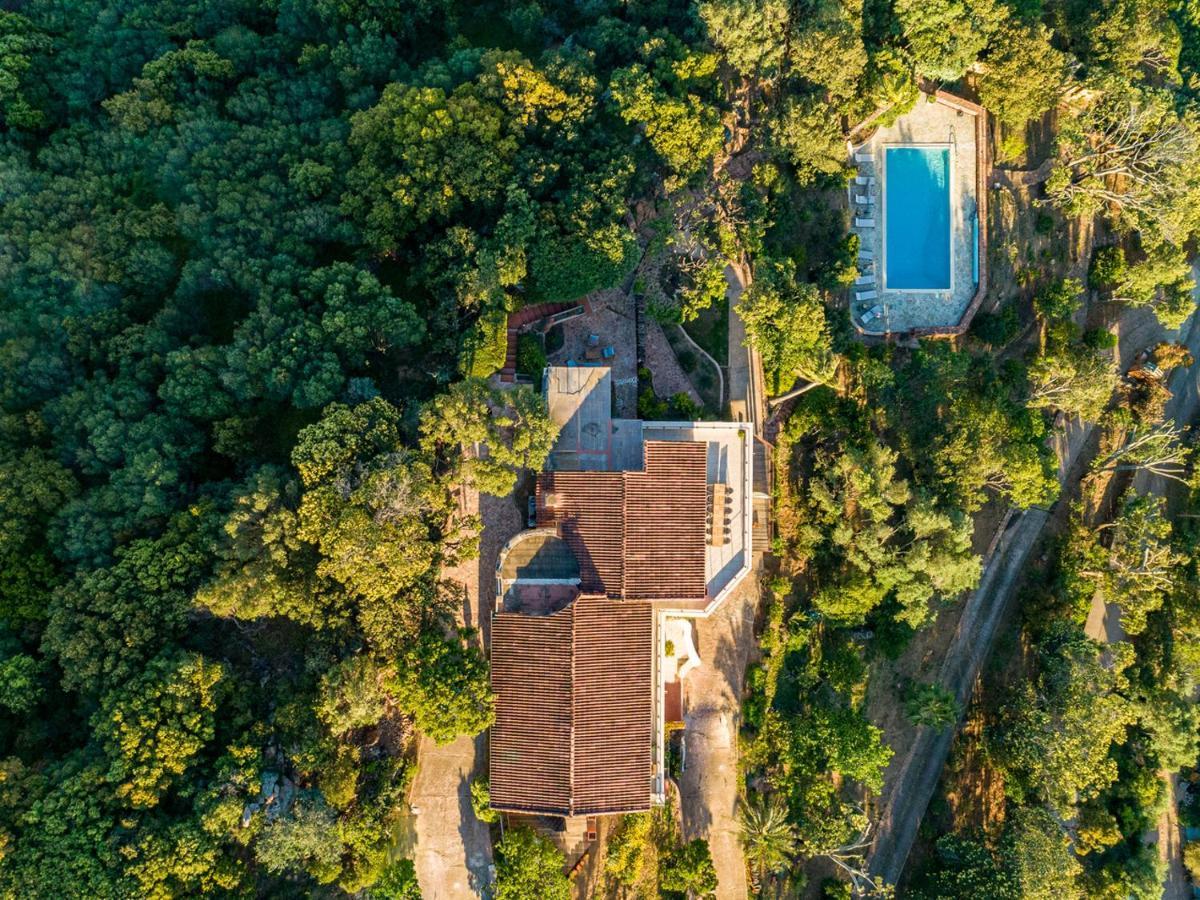 Villa L'Arbousiere Porto-Vecchio  Eksteriør billede